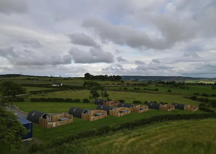 Timber Valley Pods